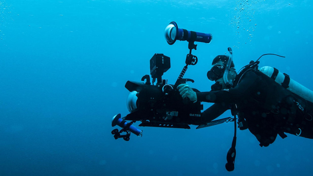 underwater-videographer