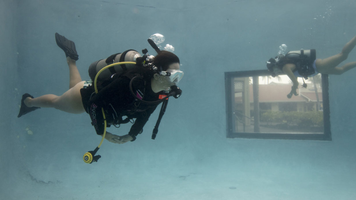 Entry Level Specialty Course – NEELDIVING – SCUBA DIVING FOR BEGINNERS